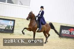 22BUCK_07976 proof
