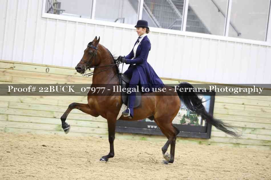 Proof 22BUCK_07977