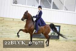 22BUCK_07977 proof