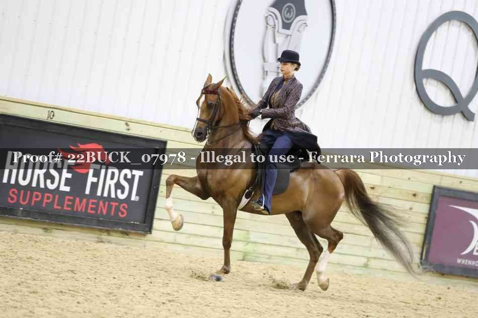 Proof 22BUCK_07978
