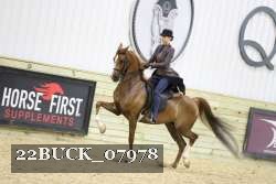 22BUCK_07978 proof