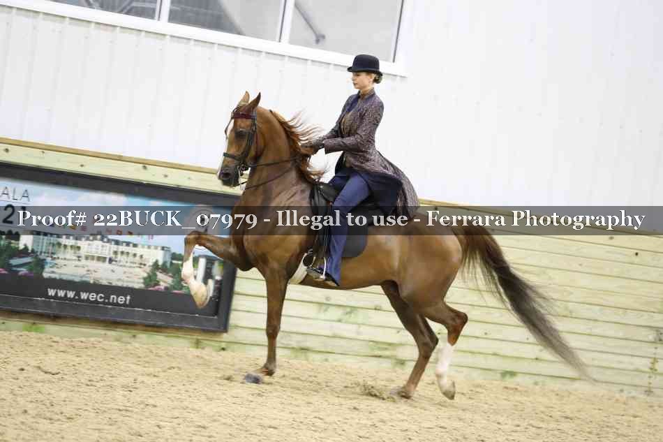 Proof 22BUCK_07979