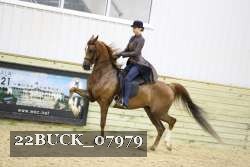 22BUCK_07979 proof