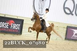 22BUCK_07980 proof