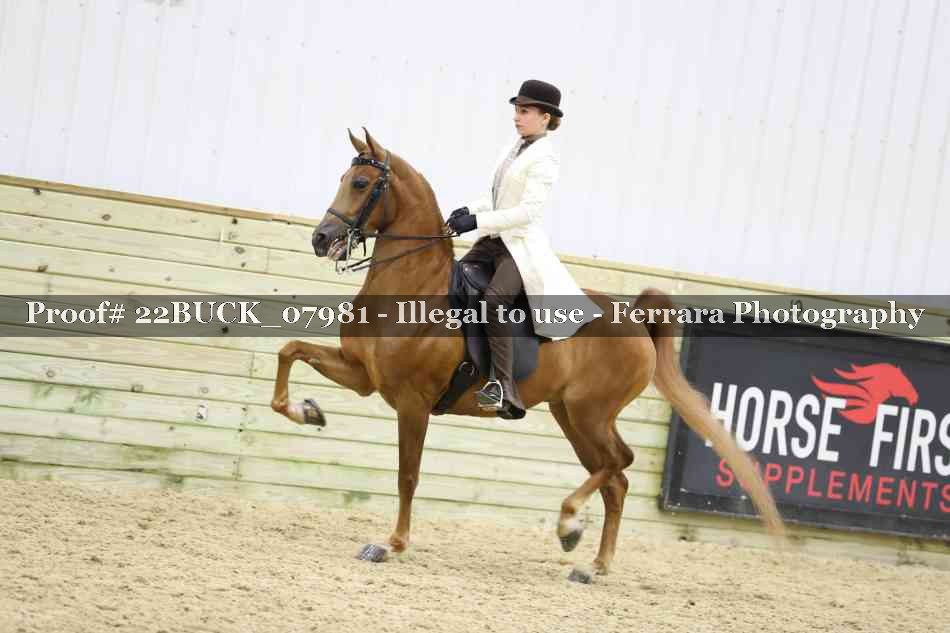 Proof 22BUCK_07981