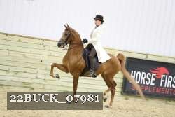 22BUCK_07981 proof