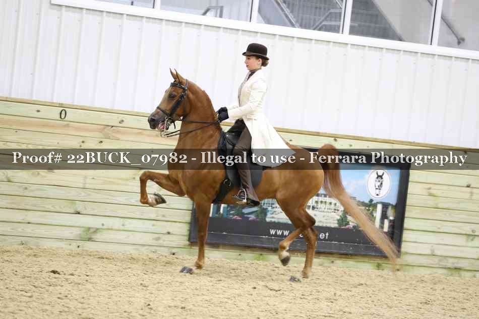 Proof 22BUCK_07982