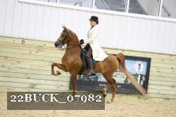 22BUCK_07982 proof