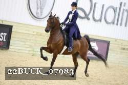 22BUCK_07983 proof