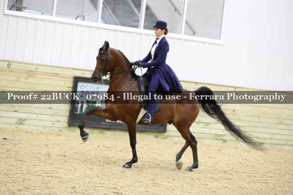 Proof 22BUCK_07984