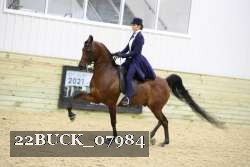 22BUCK_07984 proof