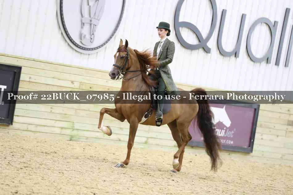 Proof 22BUCK_07985