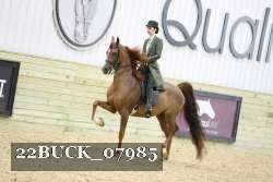 22BUCK_07985 proof