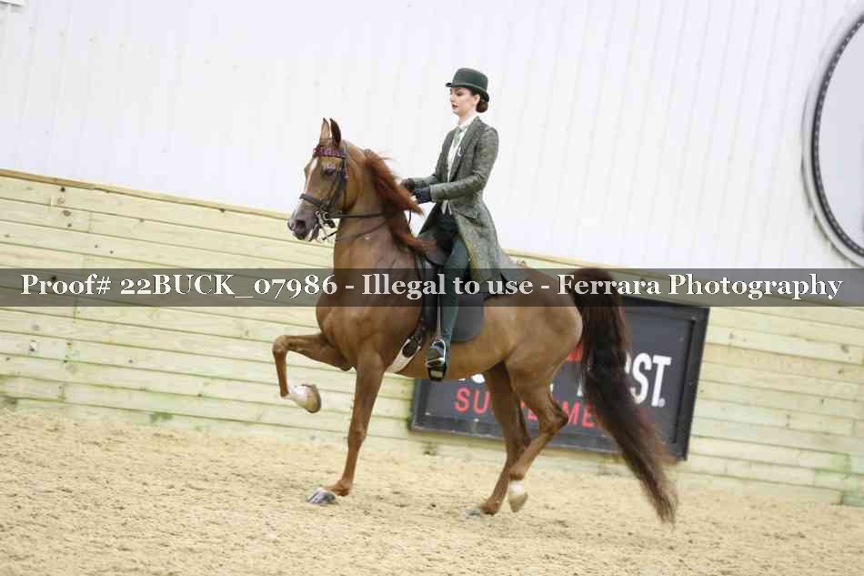 Proof 22BUCK_07986