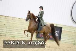 22BUCK_07986 proof