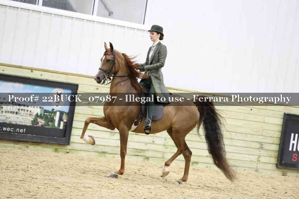 Proof 22BUCK_07987