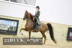 22BUCK_07987 proof