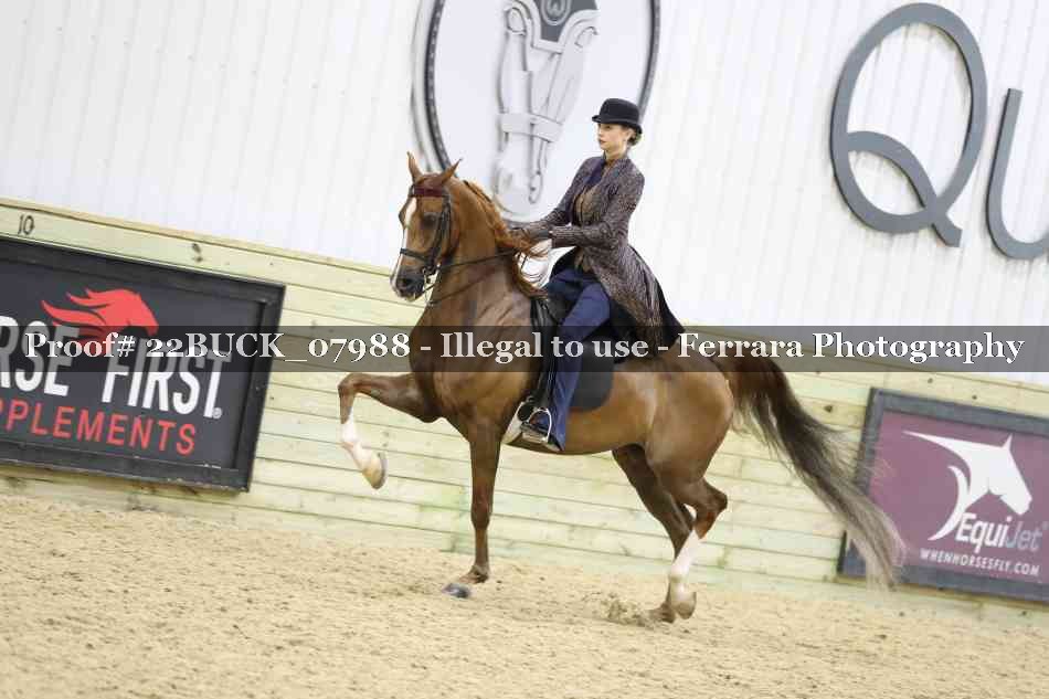 Proof 22BUCK_07988