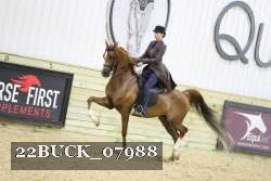 22BUCK_07988 proof