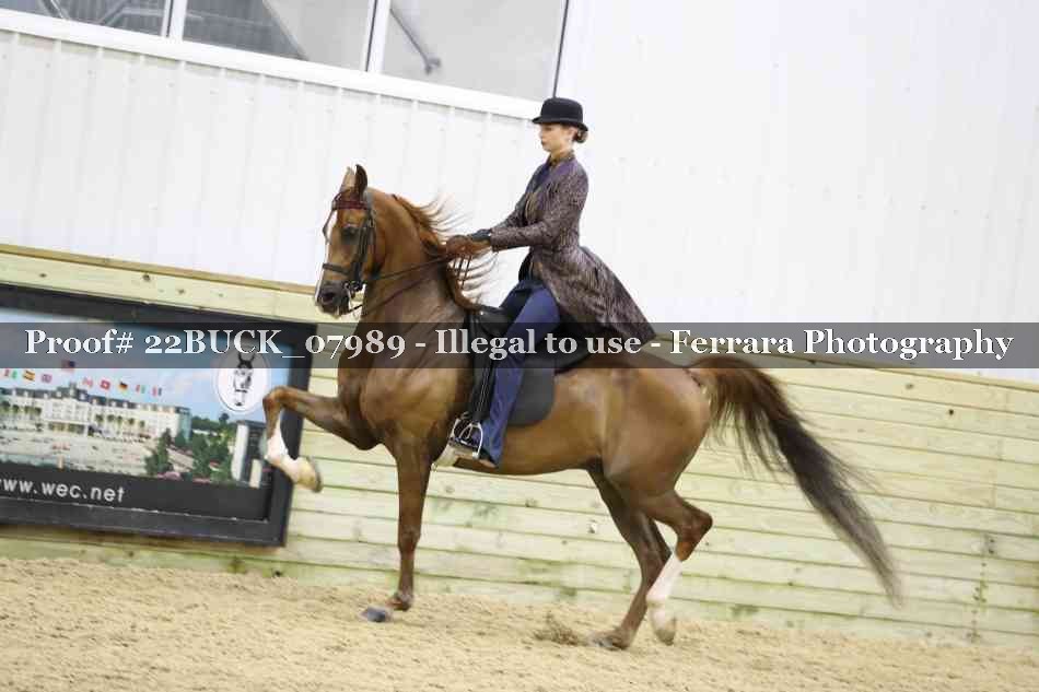 Proof 22BUCK_07989