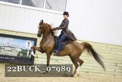 22BUCK_07989 proof