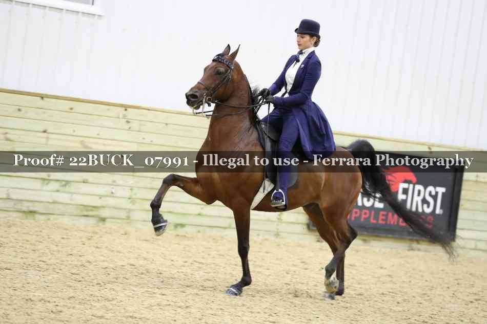 Proof 22BUCK_07991