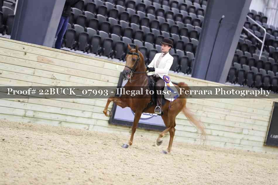 Proof 22BUCK_07993