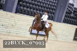 22BUCK_07993 proof