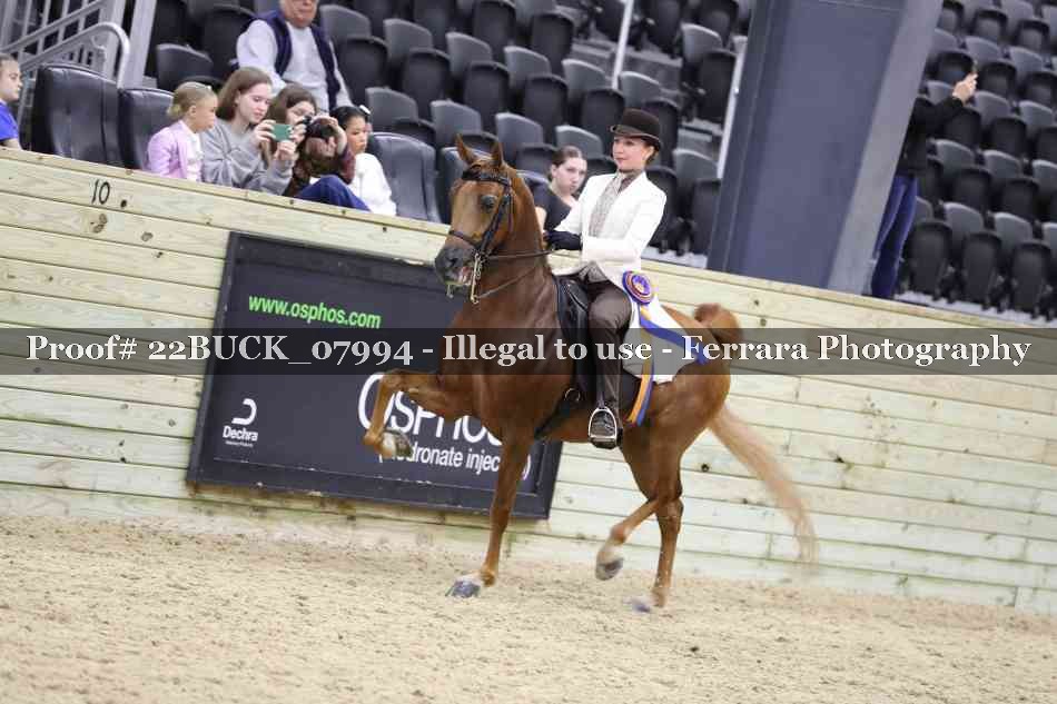 Proof 22BUCK_07994