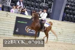 22BUCK_07994 proof