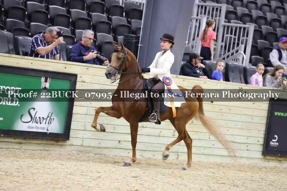 Proof 22BUCK_07995
