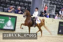22BUCK_07995 proof