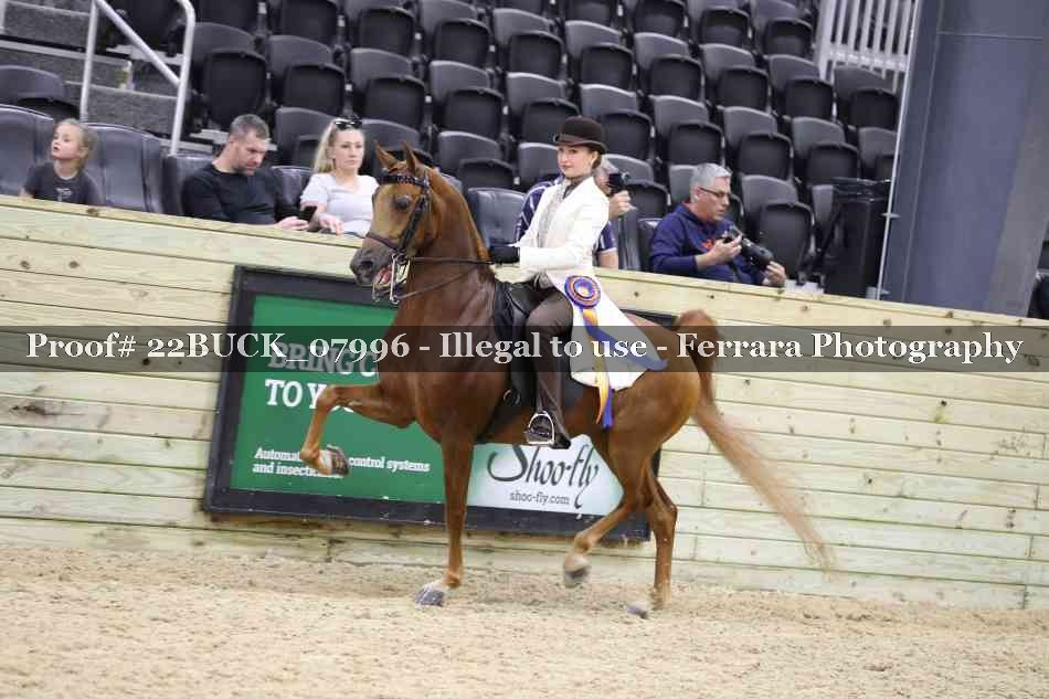 Proof 22BUCK_07996