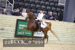 22BUCK_07996 proof