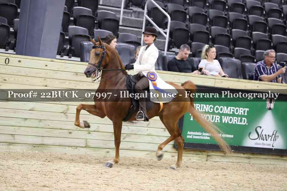 Proof 22BUCK_07997