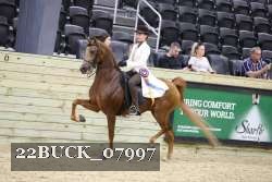 22BUCK_07997 proof