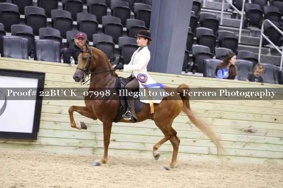 Proof 22BUCK_07998