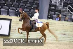 22BUCK_07998 proof