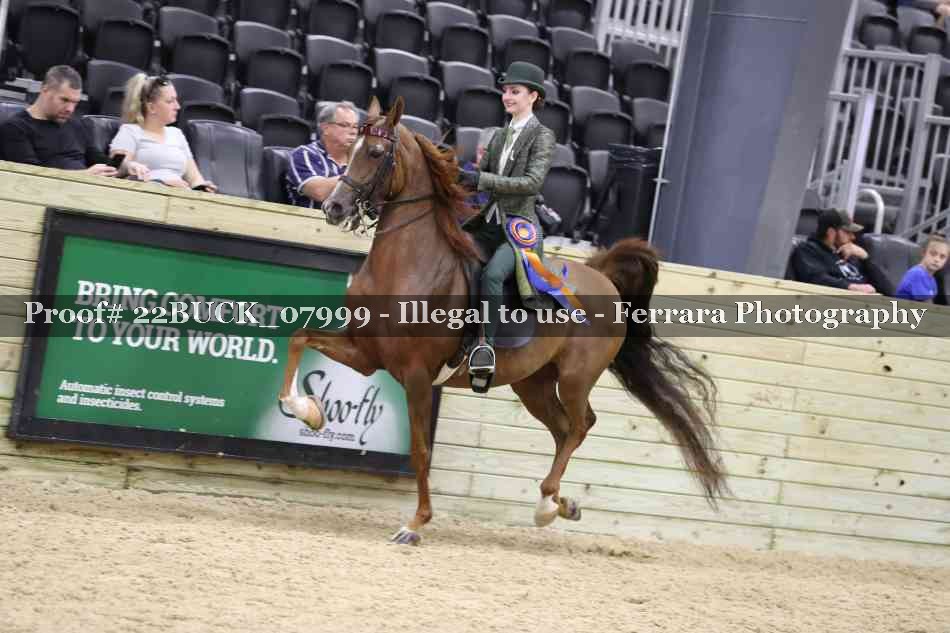 Proof 22BUCK_07999