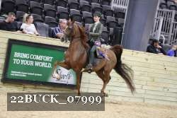 22BUCK_07999 proof
