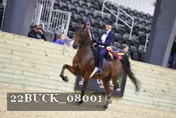 22BUCK_08001 proof