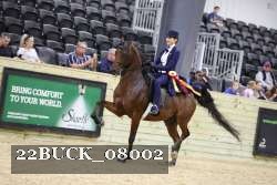 22BUCK_08002 proof