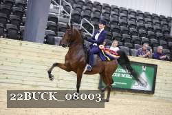 22BUCK_08003 proof