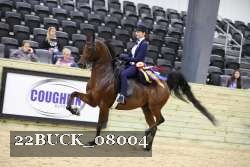 22BUCK_08004 proof