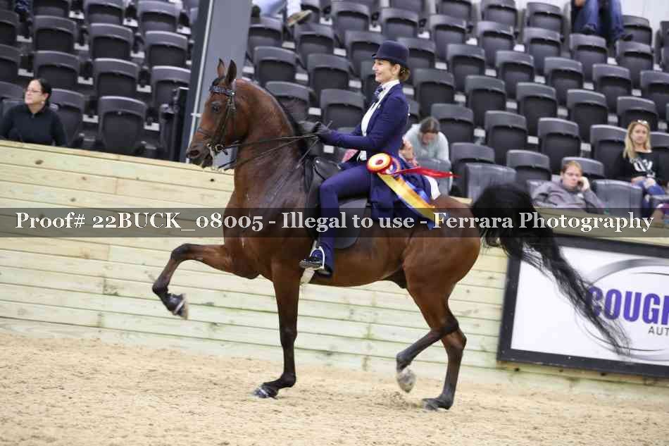 Proof 22BUCK_08005