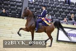 22BUCK_08005 proof