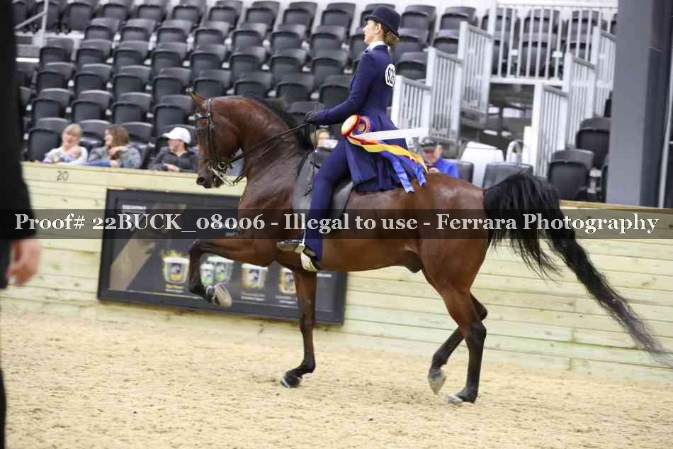 Proof 22BUCK_08006