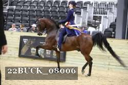 22BUCK_08006 proof