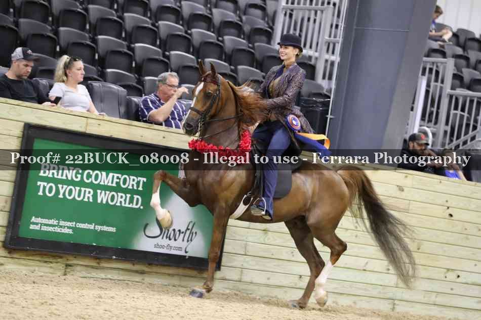 Proof 22BUCK_08008