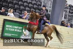 22BUCK_08008 proof